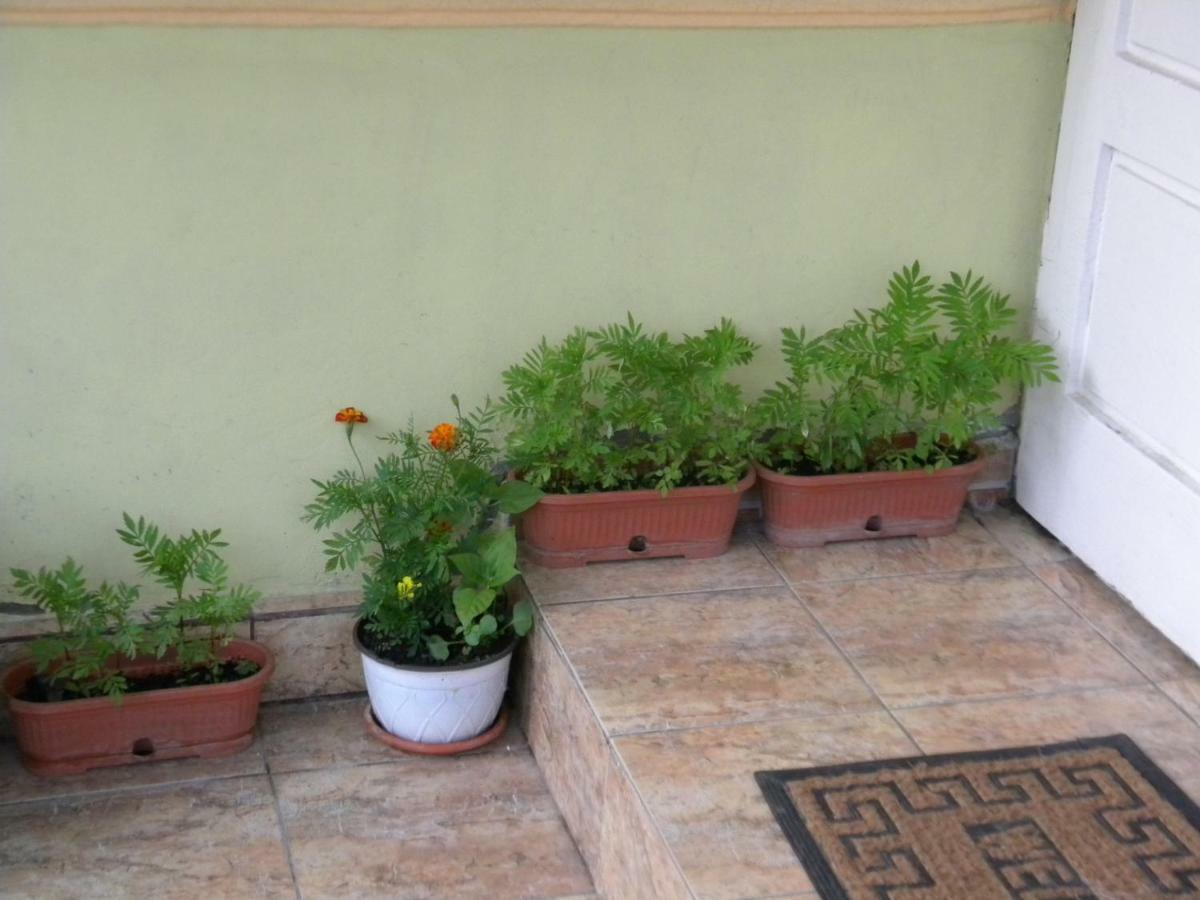 Delta Florilor Hotel Sulina Exterior photo